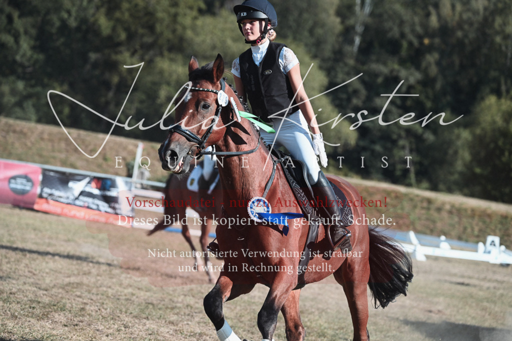 DSC_8901 | Pferde- und Turnierfotografie in Westsachsen. Pferdeportraits, Auftragszeichnungen und intuitive Kunst.