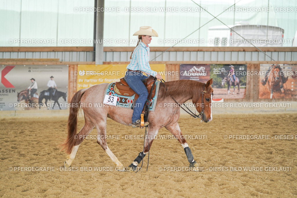 DSC05704 | Pferdegrafie