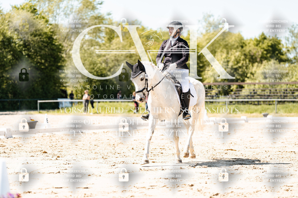 CK905486 | Turnierfotografie Pferdefotografie Trier Rheinland-Pfalz Pferdesport Reitsport Tierfotografie Sportfotografie Pferdevideo Pferdevideografie Equestrianvideography equestrianphotography  - Realisiert mit Pictrs.com