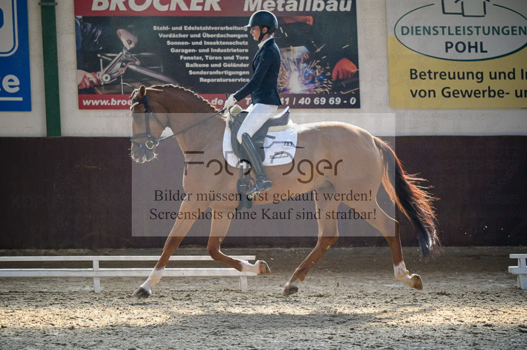Reitturnier Voxtrup | Entdecke hochwertige Reitturnierfotos von Foto Oger. Professionell, emotional und authentisch – jetzt Lieblingsmomente im Shop bestellen.Deutschlandweite Turnierfotografie. - Realisiert mit Pictrs.com