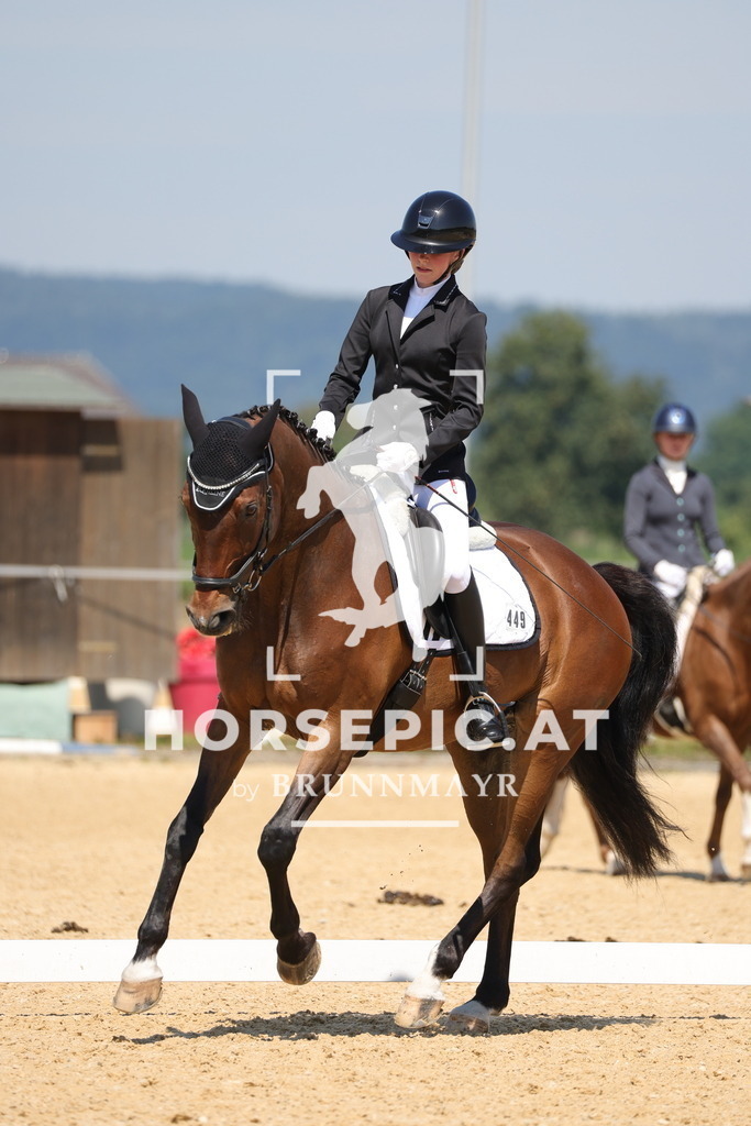 0P6A9921 | Willkommen bei Brunnmayr - Design & Fotografie – Ihrem Spezialisten für Reitturniere und Pferdeveranstaltungen in Oberösterreich, Salzburg und Bayern! Seit über 17 Jahren sind wir leidenschaftlich dabei.
