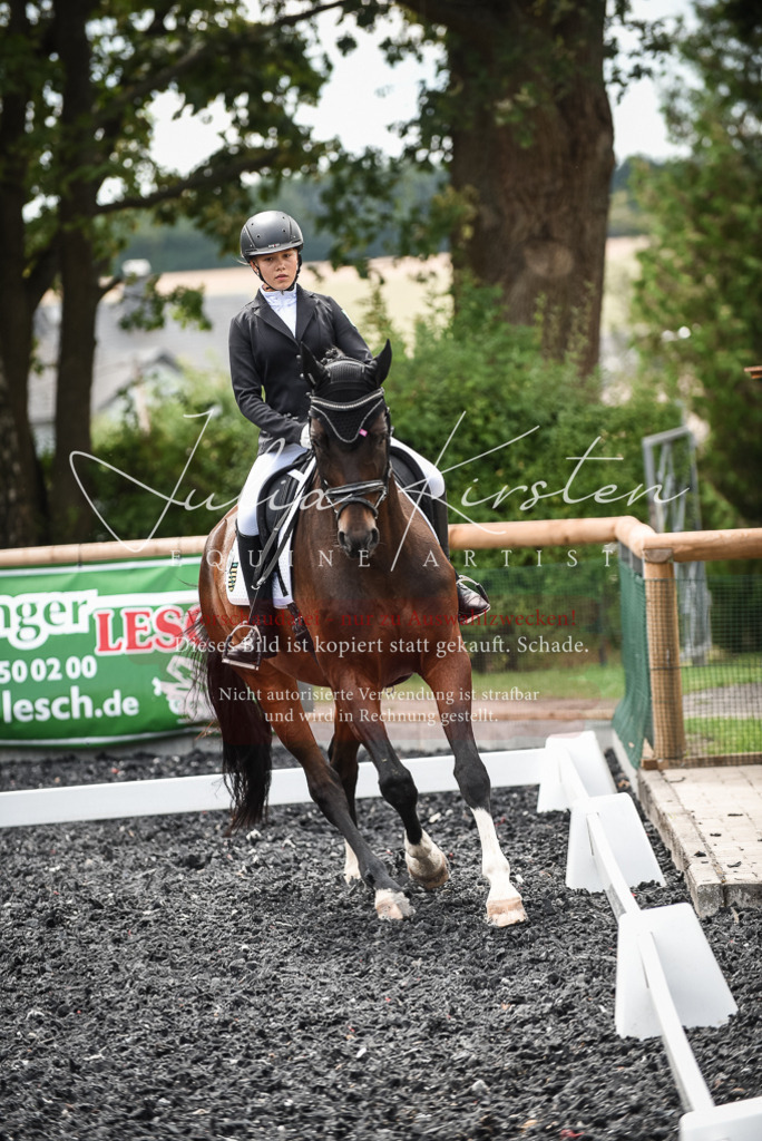 DSC_4582 | Pferde- und Turnierfotografie in Westsachsen. Pferdeportraits, Auftragszeichnungen und intuitive Kunst.
