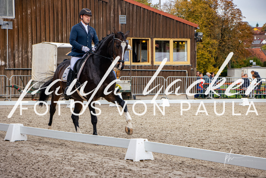 IMG_7609 | Erleben Sie dynamische Sport- und emotionale Tierfotografie in Süddeutschland mit Fotos von Paula. Spezialisiert auf Pferde- und Hundefotografie sowie Sportevents. Kontaktieren Sie mich für einzigartige und ausdrucksstarke Bilder Ihrer besonderen Momente. - Realisiert mit Pictrs.com