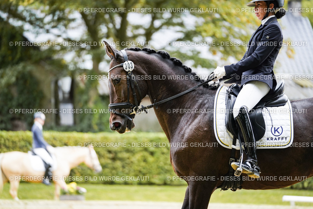 DSC00883 | Pferdegrafie