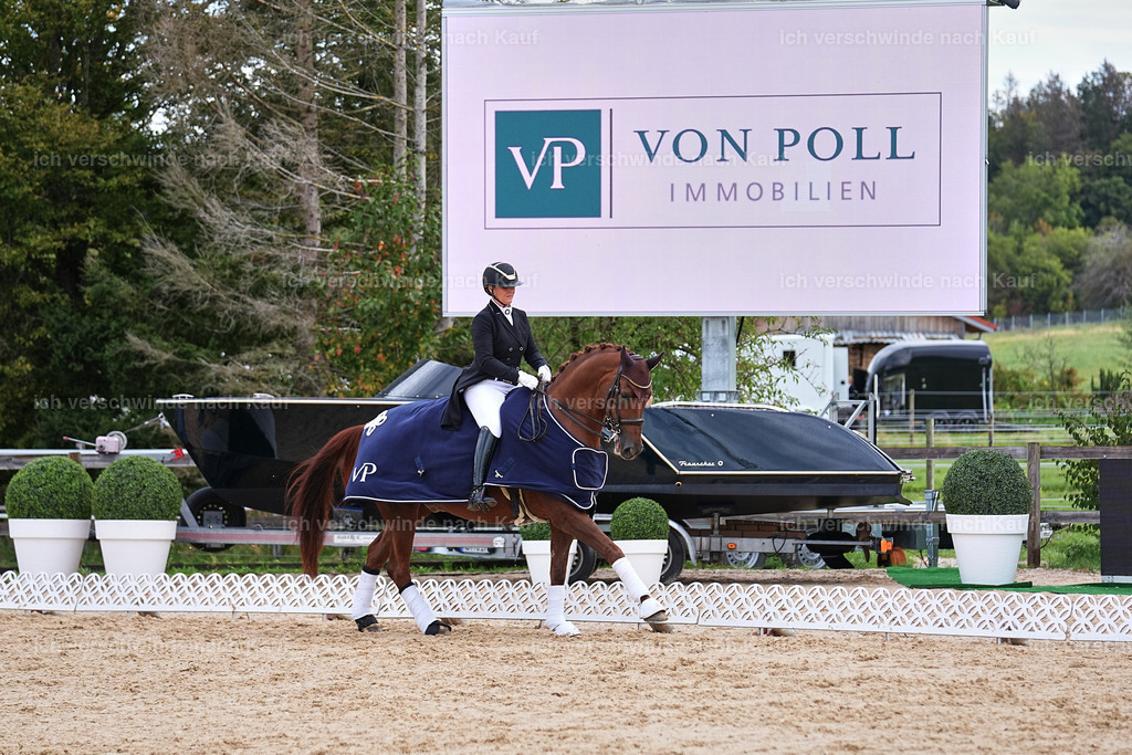 10-Siegerehrung-ST.GEORG SPECIAL -Marixx-3411 | working equitationturnier fotograf videograf stoibphotography marixx film working equitation deutschland reitsport turnierfotografie eventfotografie equestrian events
