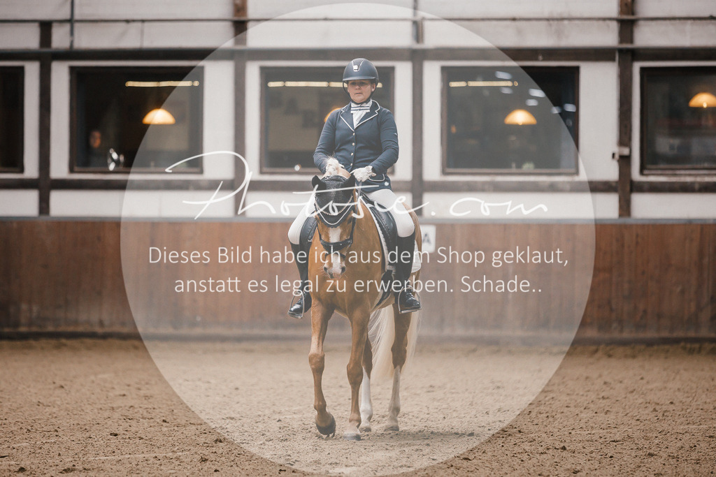 3I6A7121 | Stimmungsvolle Portraits und Reitsportfotografie im Ruhrgebiet und im Münsterland.

Pferdefotografie, Hundefotografie, Tierfotografie, Reportagen, Portraits von Tier und Mensch, Turnierfotografie in Bochum, Recklinghausen, Marl, Haltern am See, Dülmen.. - Realisiert mit Pictrs.com