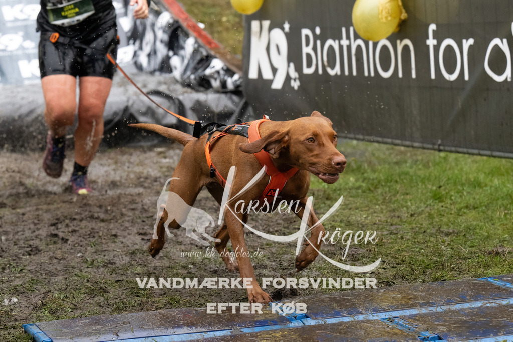 0933_ZZ90457 | kk-dogfotos