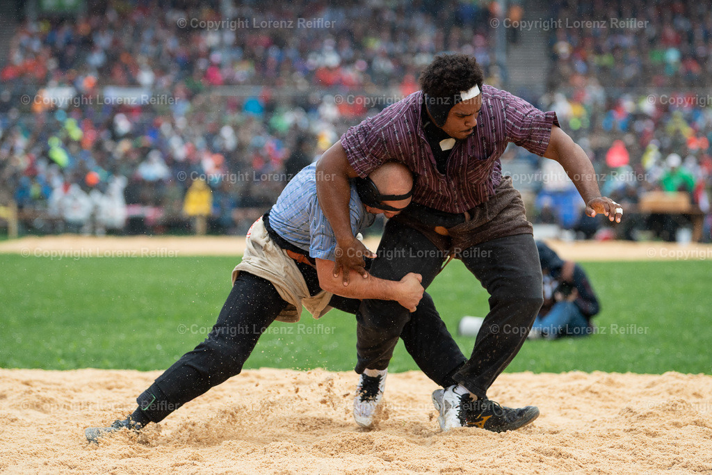 Schwingen -  ESAF 2025 Samstag | Mollis, 30.8.25, Schwingen - ESAF Samstag