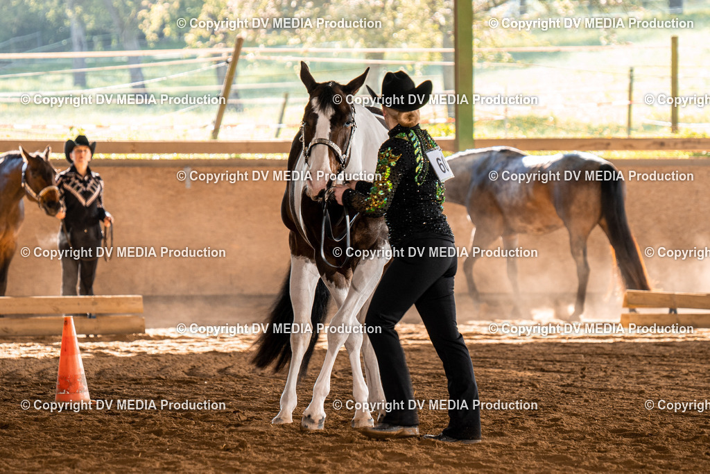 Balingen Tag 1-64 | dv-media-shop - Realisiert mit Pictrs.com