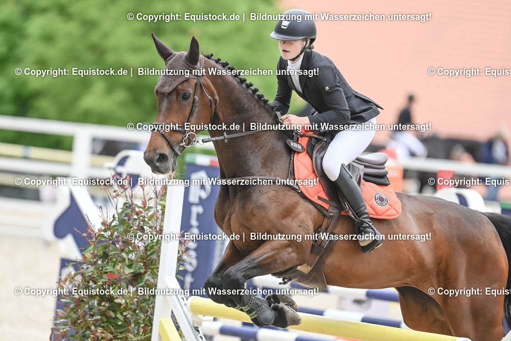 20230514_CCI4_Springen_0129 | equistock
