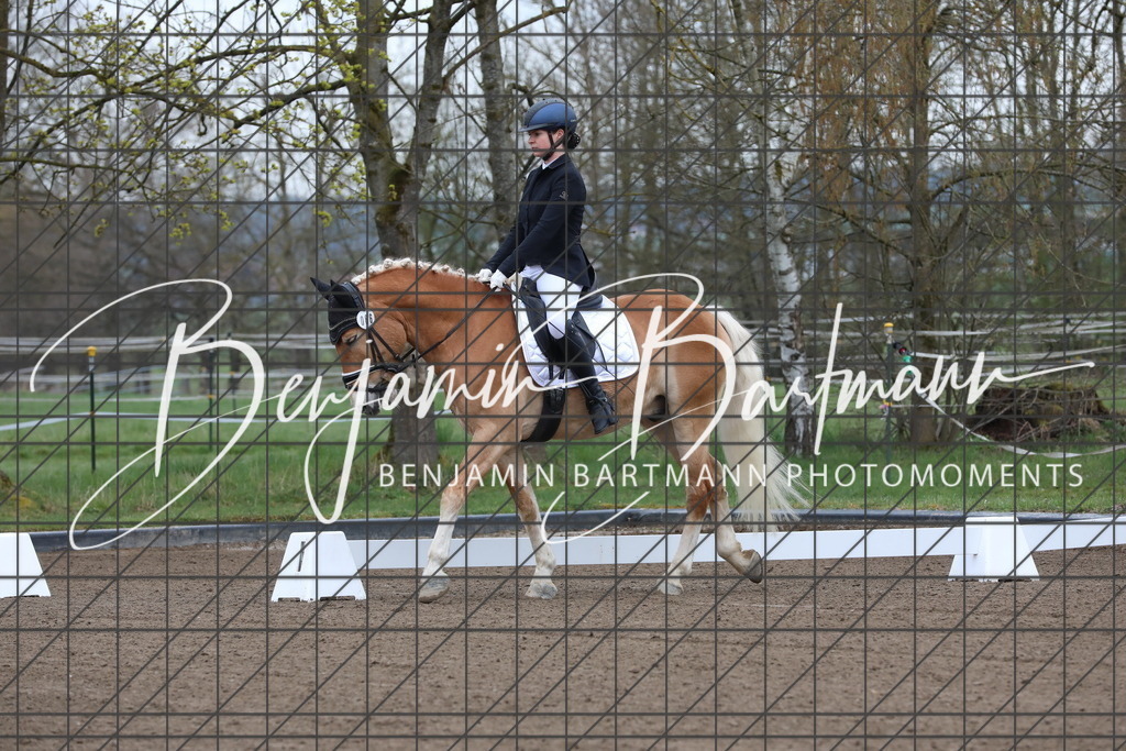 AZ2A3940 | Benjamin Bartmann Photomoments