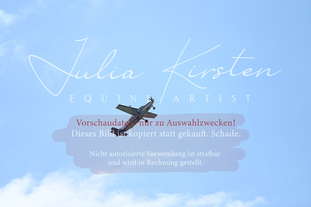 DSC_5535 | Pferde- und Turnierfotografie in Westsachsen. Pferdeportraits, Auftragszeichnungen und intuitive Kunst.