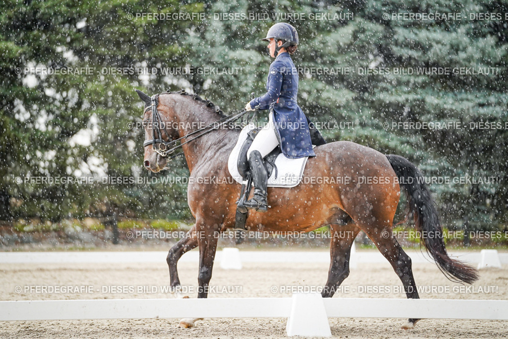 DSC08043 | Pferdegrafie