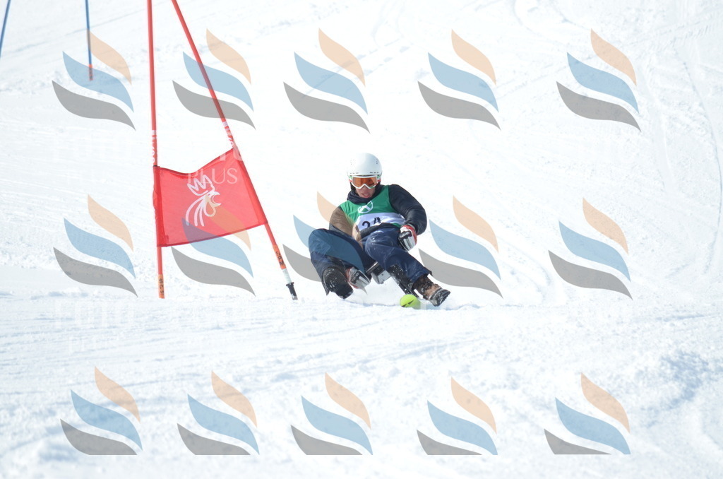 D9282 | holidayphoto