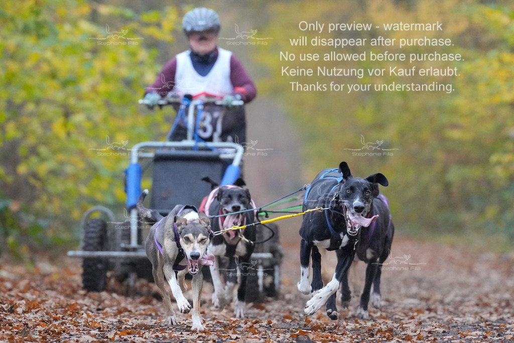 AusschnitteSo-11 | stephaniefillaphotographie - Realisiert mit Pictrs.com