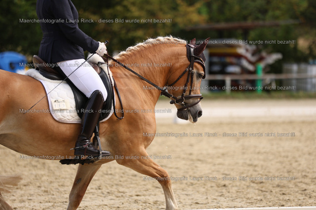 HG9A1493 | laurarinckfotografie - Realisiert mit Pictrs.com