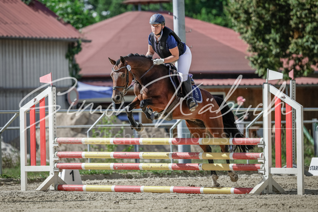 20250906-_3LI6514 | Tierfotografie Pferde, Hunde, Katzen, Haustiere.
Turnierfotografie Reitturniere, Reiten, Springreiten, Dressur in Hanau, dem Main-Kinzig-Kreis und dem Rhein-Main- Gebiet um Frankfurt