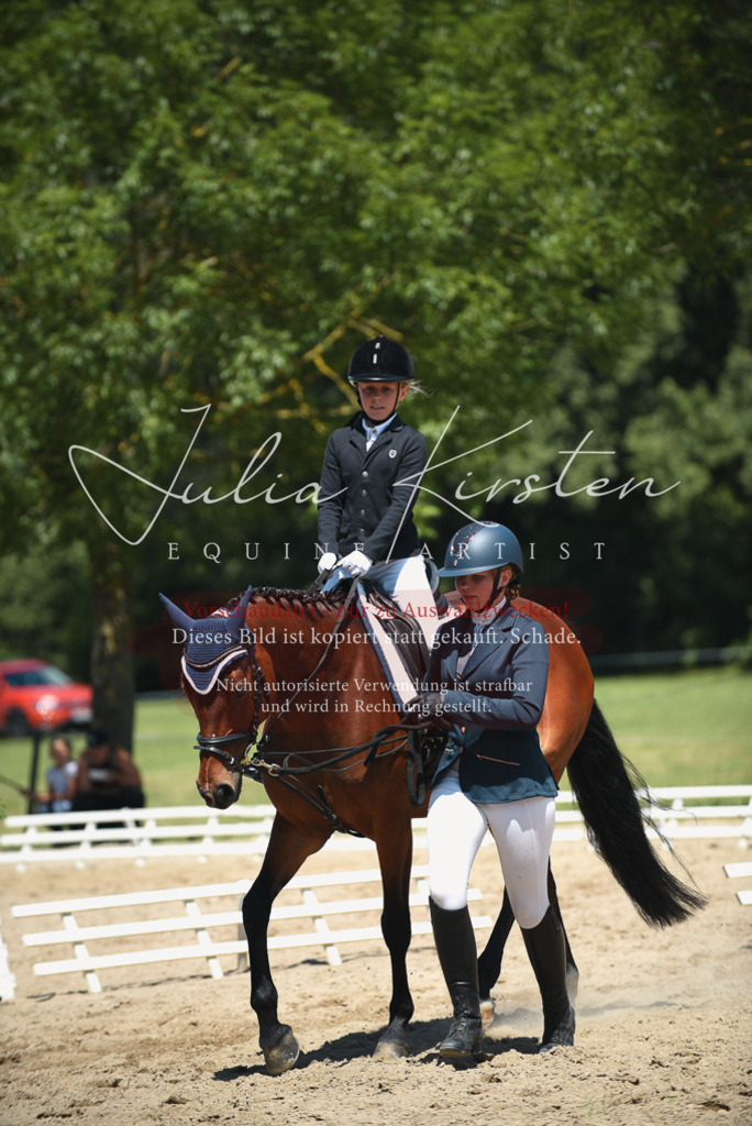 DSC_1758 | Pferde- und Turnierfotografie in Westsachsen. Pferdeportraits, Auftragszeichnungen und intuitive Kunst.