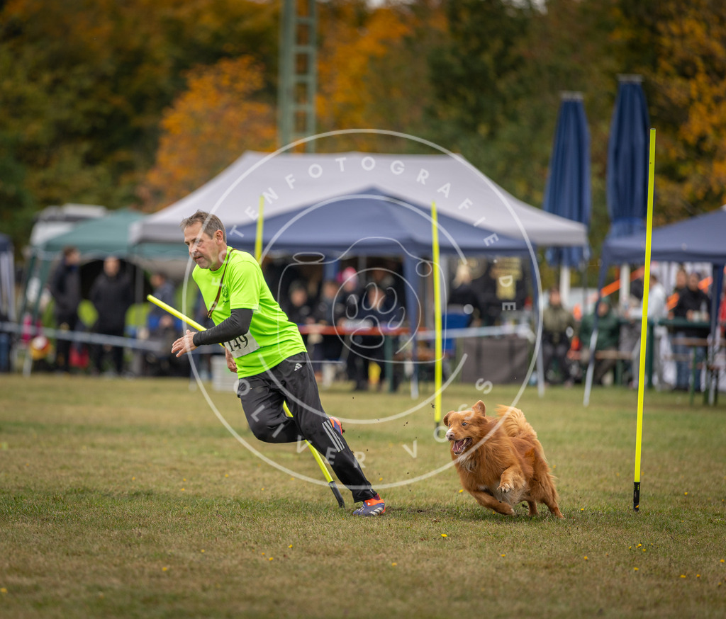 Pfotenfotografie_DV3A6332 | Hundefotografie, Tierfotograf, Pfotenfotografie, Fotoshooting Hund, Hunde Portrait, Hundesport, Hundeportraits, Heideshooting, Hunde, Sportfotograf, Hundefotograf, Turnierhundsport, THS,  - Realisiert mit Pictrs.com