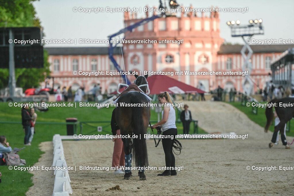 D78_3347 | equistock