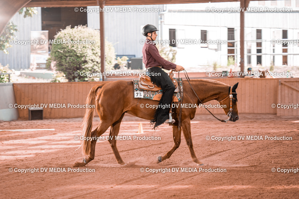 NE300267 | dv-media-shop - Realisiert mit Pictrs.com