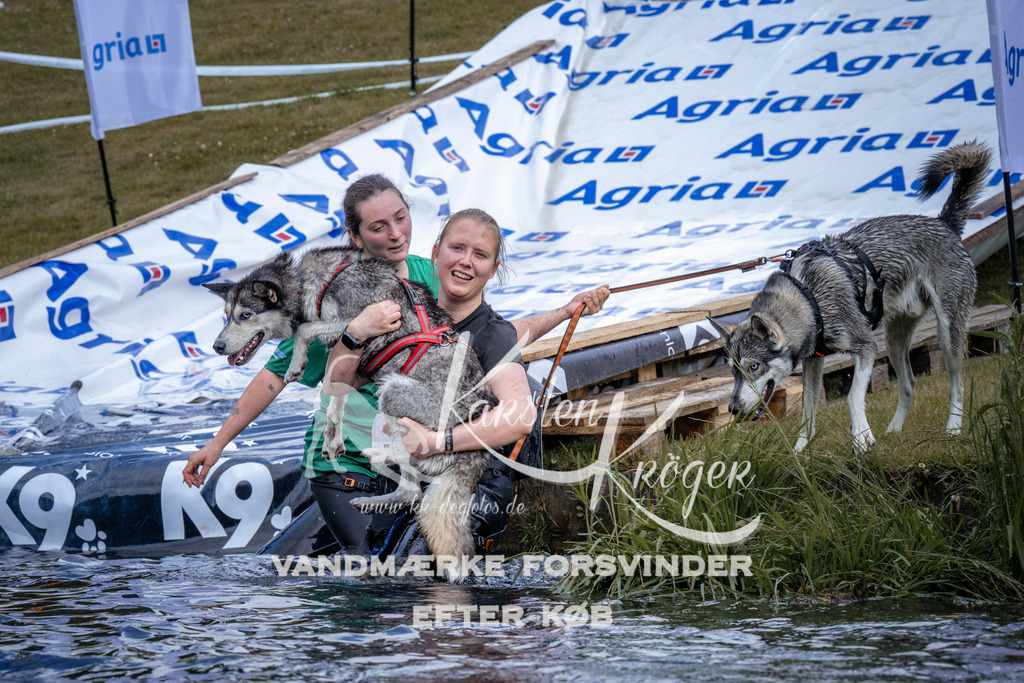 _ZZ912430912 | kk-dogfotos