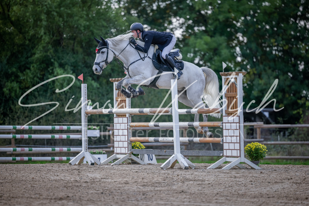 20251012-_3LI5534 | Tierfotografie Pferde, Hunde, Katzen, Haustiere.
Turnierfotografie Reitturniere, Reiten, Springreiten, Dressur in Hanau, dem Main-Kinzig-Kreis und dem Rhein-Main- Gebiet um Frankfurt