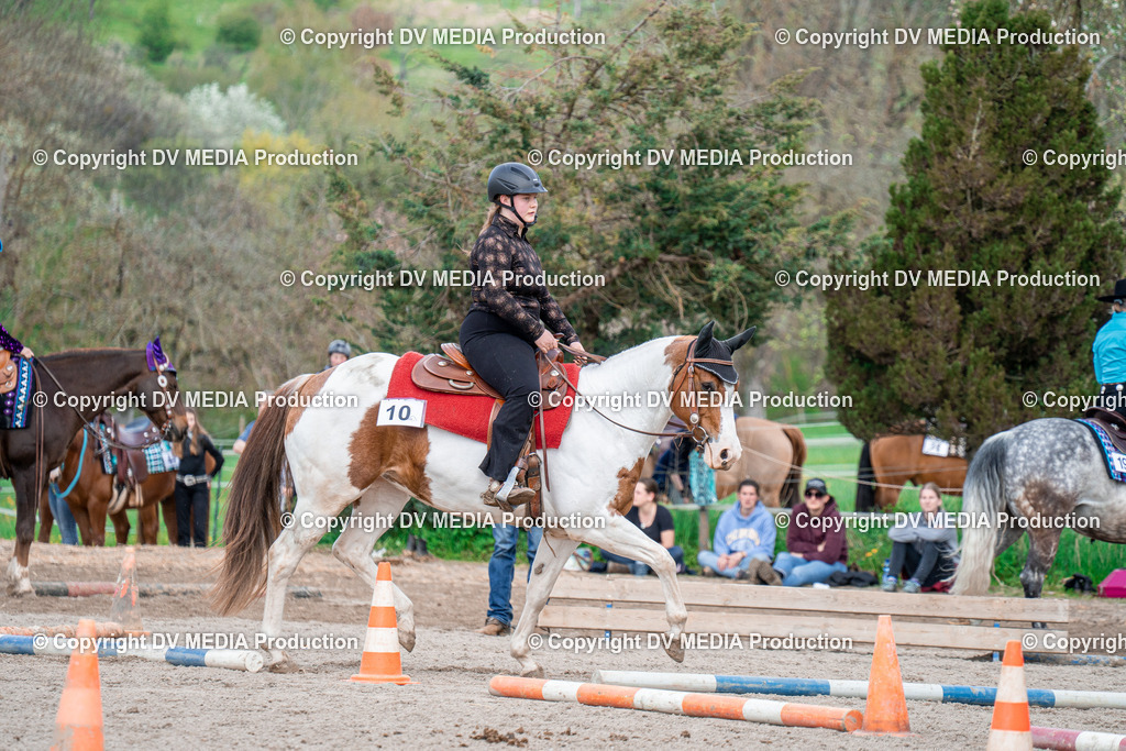 BAL02600 | dv-media-shop - Realisiert mit Pictrs.com