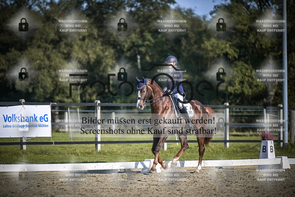 DOS_B793 | Entdecke hochwertige Reitturnierfotos von Foto Oger. Professionell, emotional und authentisch – jetzt Lieblingsmomente im Shop bestellen.Deutschlandweite Turnierfotografie. - Realisiert mit Pictrs.com