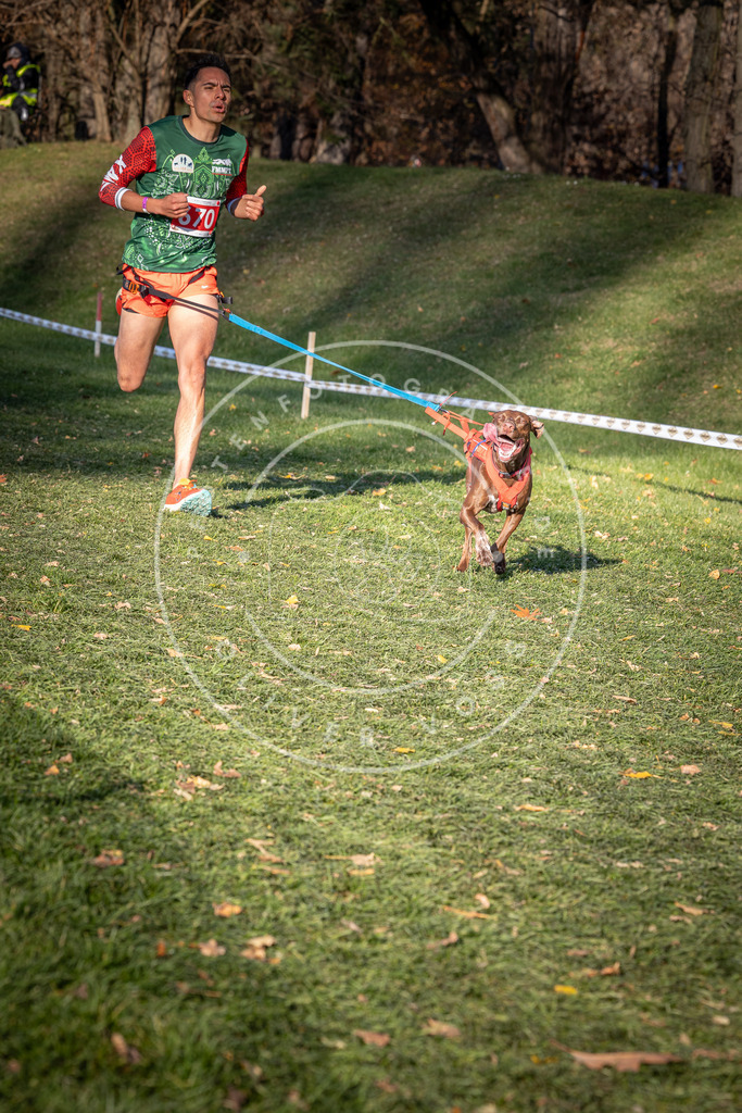 CaniXpix_0L8A9198 | Hundefotografie, Tierfotograf, Pfotenfotografie, Fotoshooting Hund, Hunde Portrait, Hundesport, Hundeportraits, Heideshooting, Hunde, Sportfotograf, Hundefotograf, Turnierhundsport, THS,  - Realisiert mit Pictrs.com