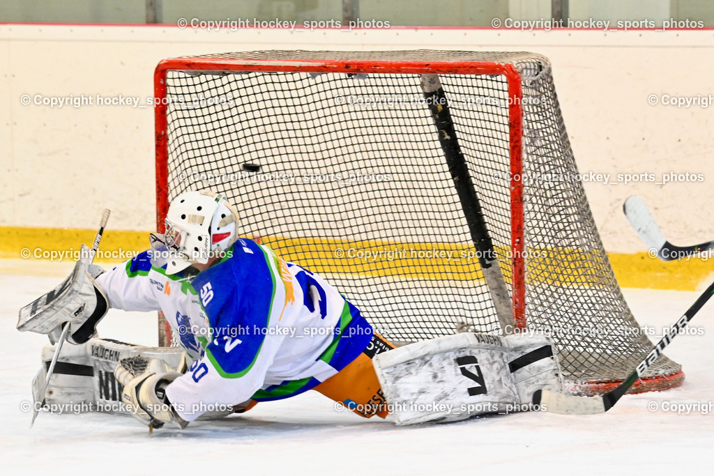  EC Tigers Paternion vs. EC Virgen 8.1.2022 | #50 Berger Matthias, Tor EC Tigers Paternion