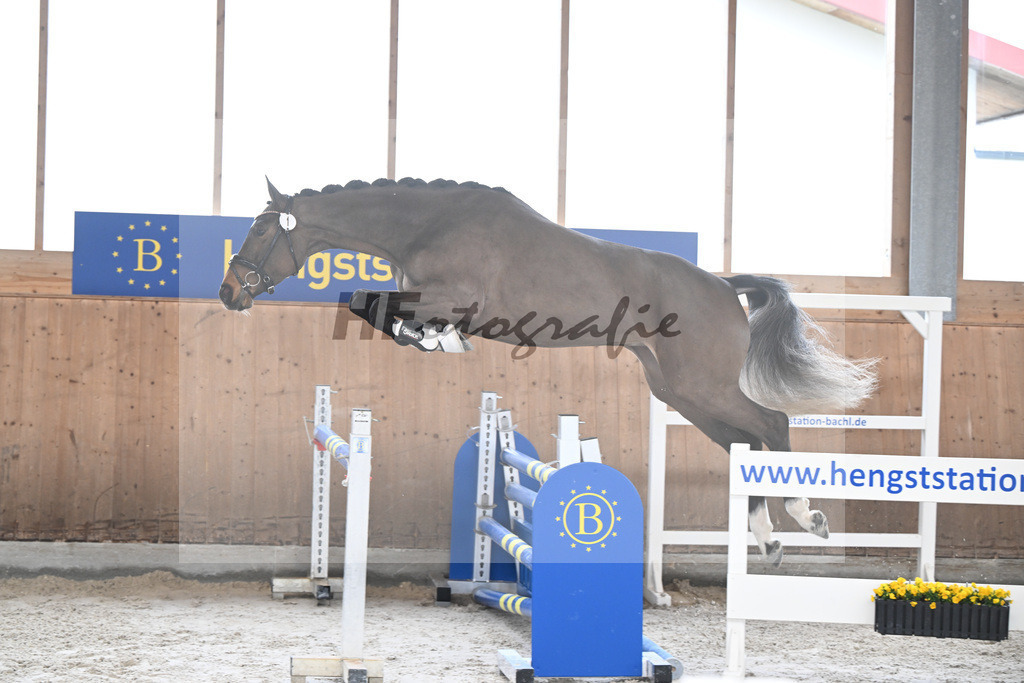 Kat-Nr. 1 Cellestina v Cellestial_Steidl_14260517 | hf-fotografie - Realizzato con Pictrs.com