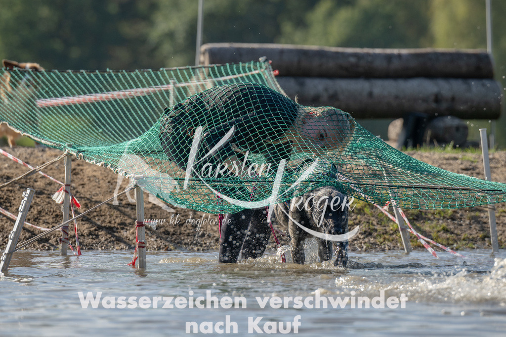 1416_ZZ91964 | kk-dogfotos