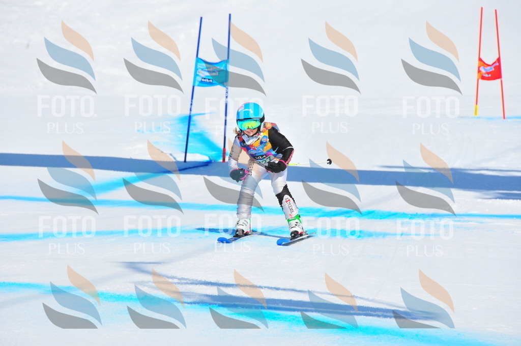 DSC_1013 | holidayphoto