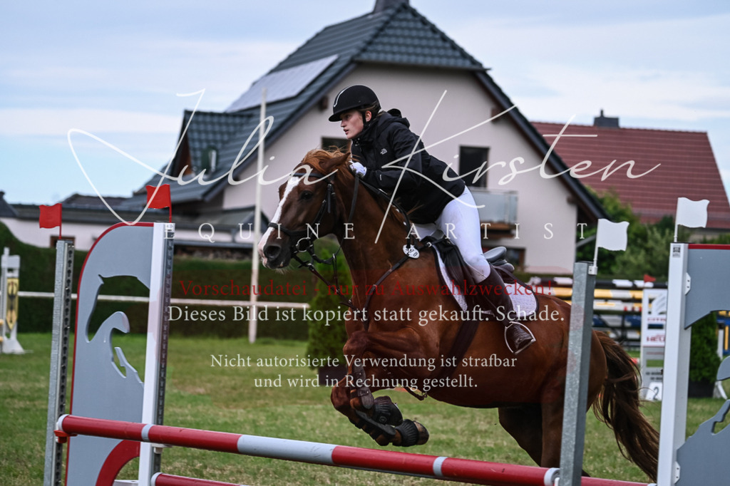 DSC_8382 | Pferde- und Turnierfotografie in Westsachsen. Pferdeportraits, Auftragszeichnungen und intuitive Kunst.