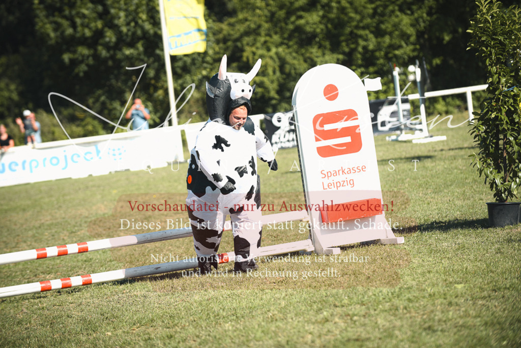 DSC_7747 | Pferde- und Turnierfotografie in Westsachsen. Pferdeportraits, Auftragszeichnungen und intuitive Kunst.
