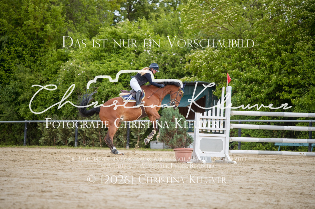 DSC_6479 | Christina-Kleuver