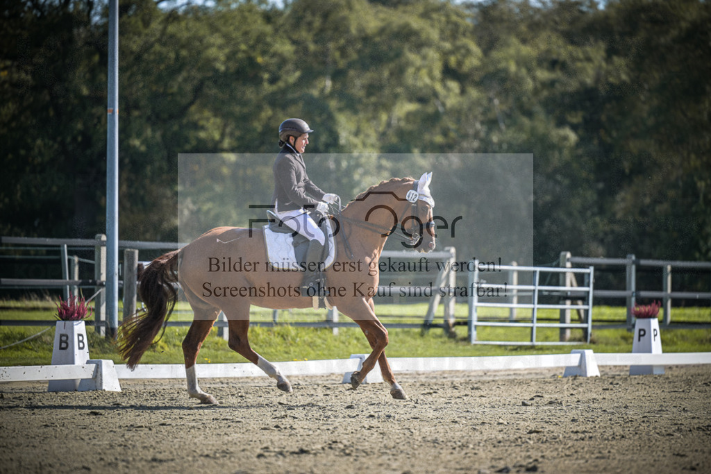 DOS_1674 | Entdecke hochwertige Reitturnierfotos von Foto Oger. Professionell, emotional und authentisch – jetzt Lieblingsmomente im Shop bestellen.Deutschlandweite Turnierfotografie. - Realisiert mit Pictrs.com
