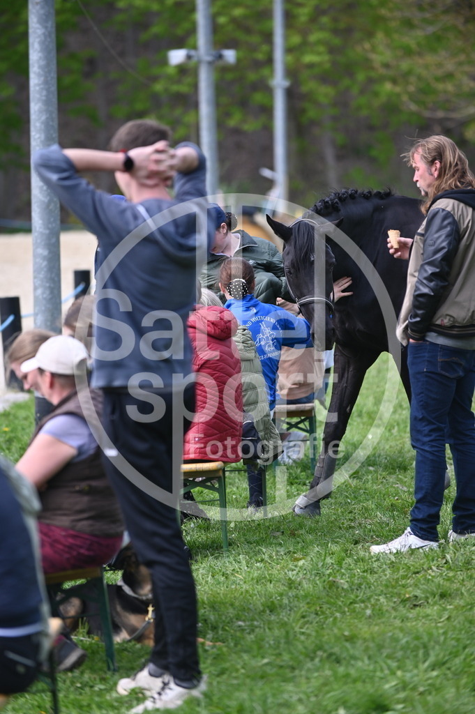 DSC_4100 | sattelsport - Realisiert mit Pictrs.com