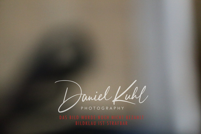 IMG_0896 | Turnierfotos kaufen im Webshop von Daniel Kuhl Photography – entdecke professionelle Reitsportfotos aus Turnieren & Events. Hochwertige Turnierbilder online bestellen & sichern. Jetzt Fotos von Reitsportturnieren kaufen!