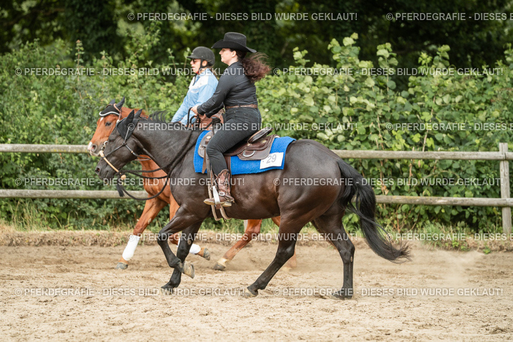 DSC03313 | Pferdegrafie