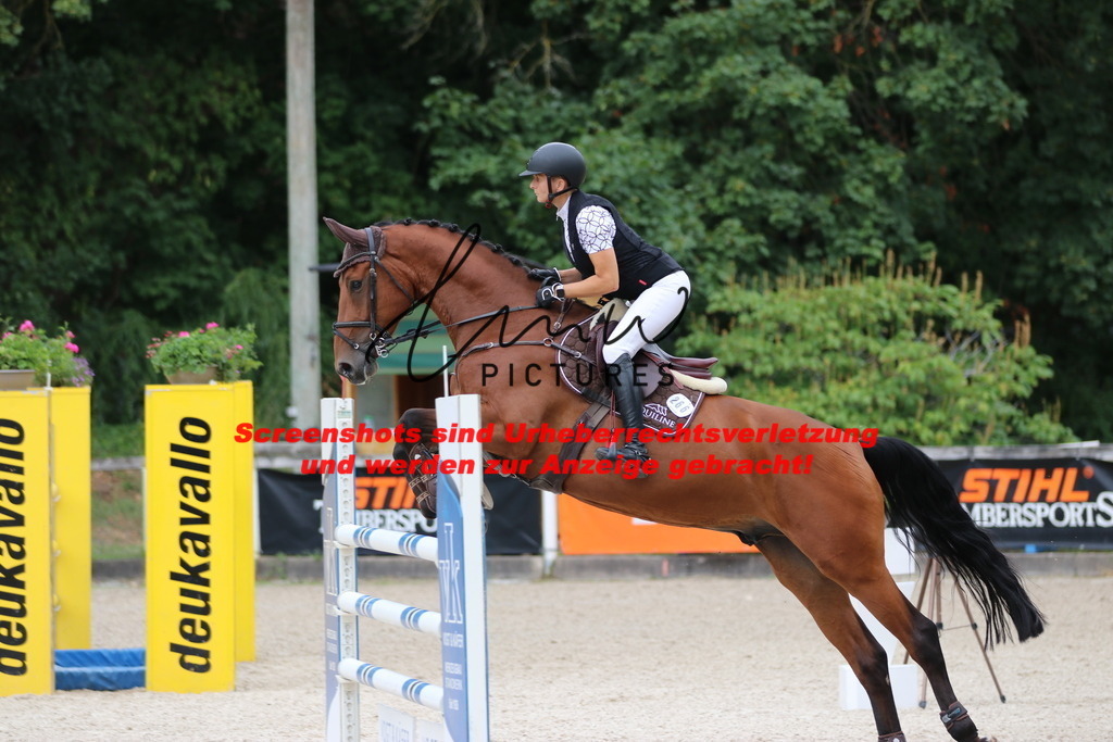 IMG_2261 | lmwpictures - Realisiert mit Pictrs.com