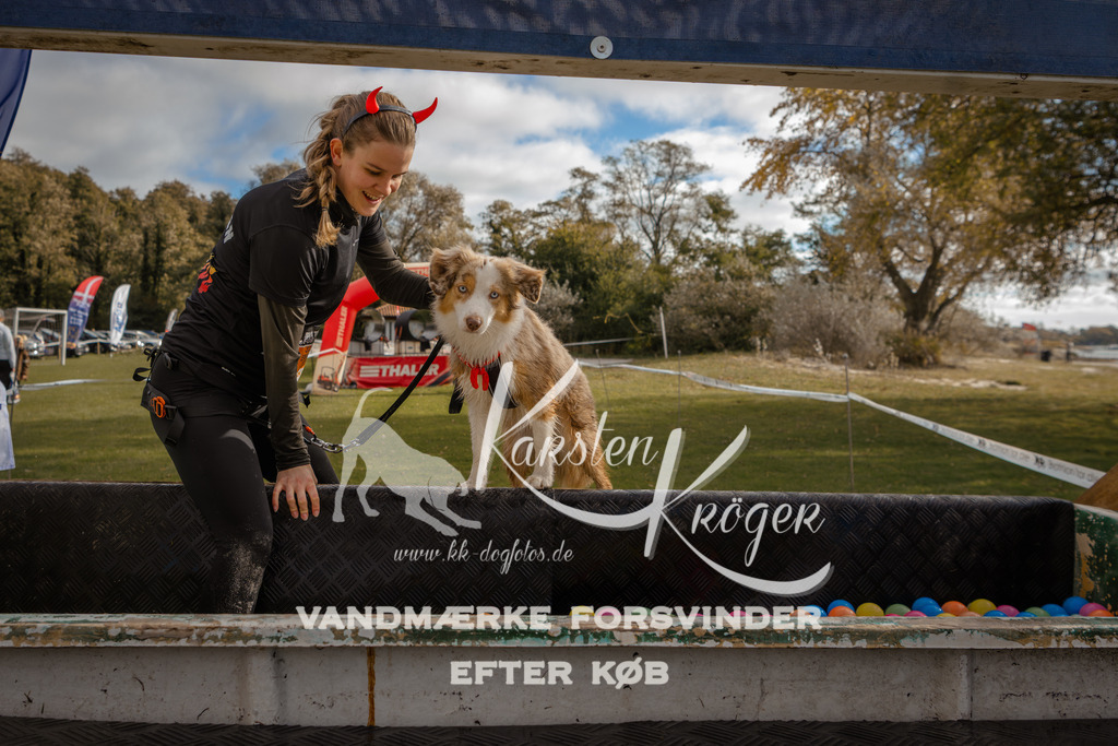 1335_ZZ91487-2 | kk-dogfotos