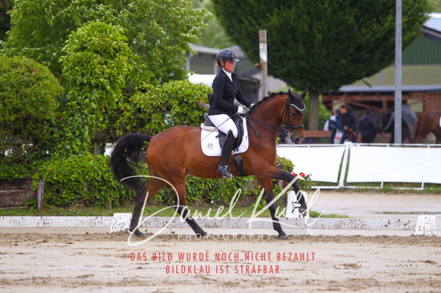 DKP40637 | Turniersportfotografie; Pferdefotografie; Dressurfotografie