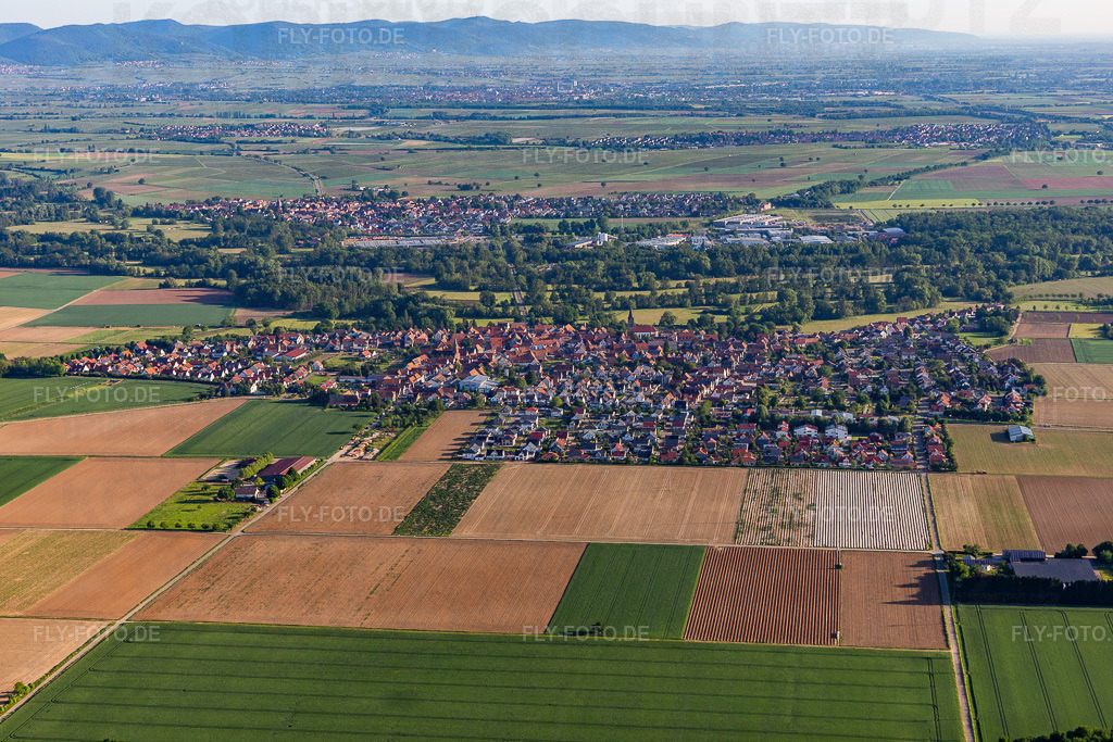 Dorfansicht aus Süden | Luftbild: Dorfansicht aus Süden in Steinweiler im Bundesland Rheinland-Pfalz in Deutschland. Foto: IMG_131510.jpg vom 18.05.2022 durch ©2025 Werner Riehm fly-foto.de/copyright - Realisiert mit Pictrs.com