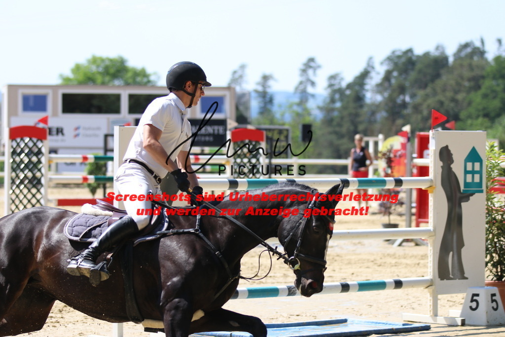 IMG_2826 | lmwpictures - Realisiert mit Pictrs.com