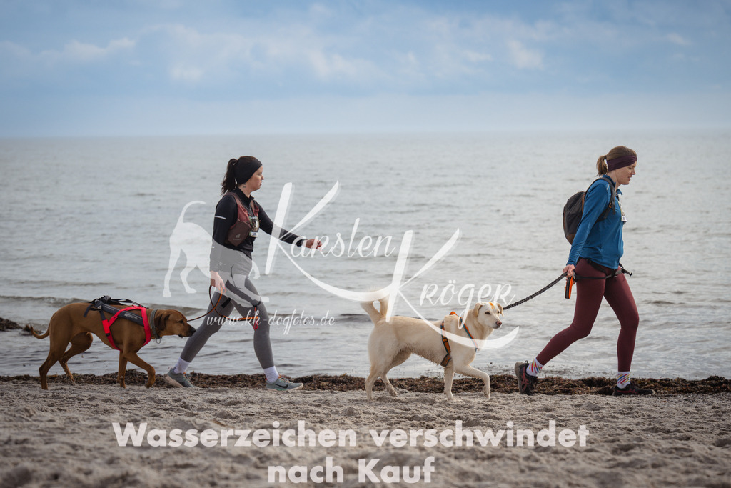 1210_ZZ94554 | kk-dogfotos