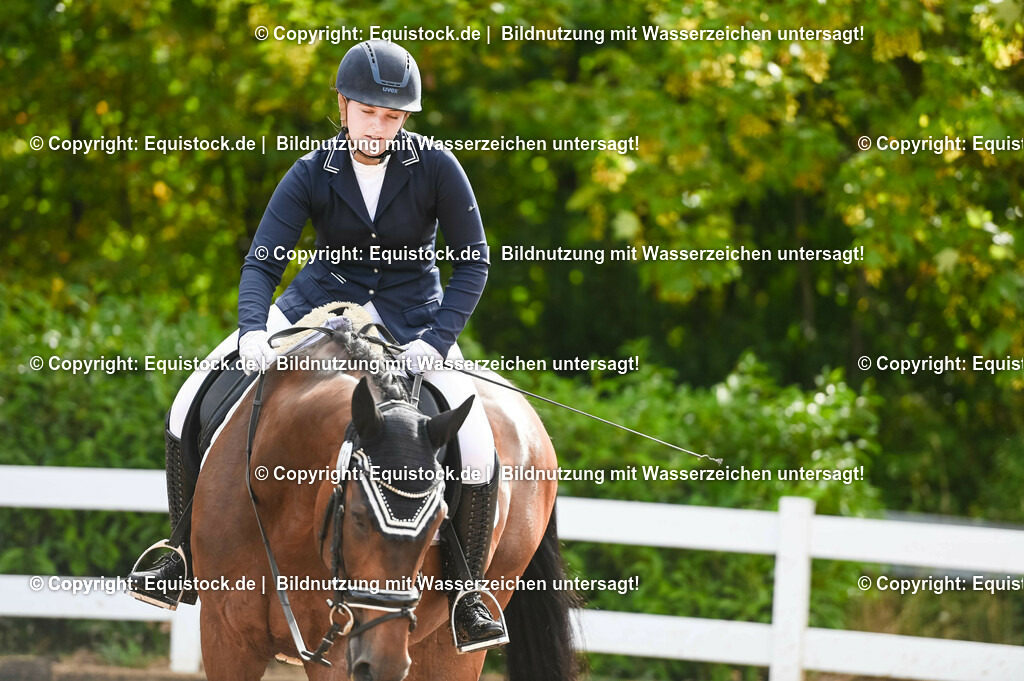 20230716_04_Dressurreiterprüfung Kl.A_0329 | equistock