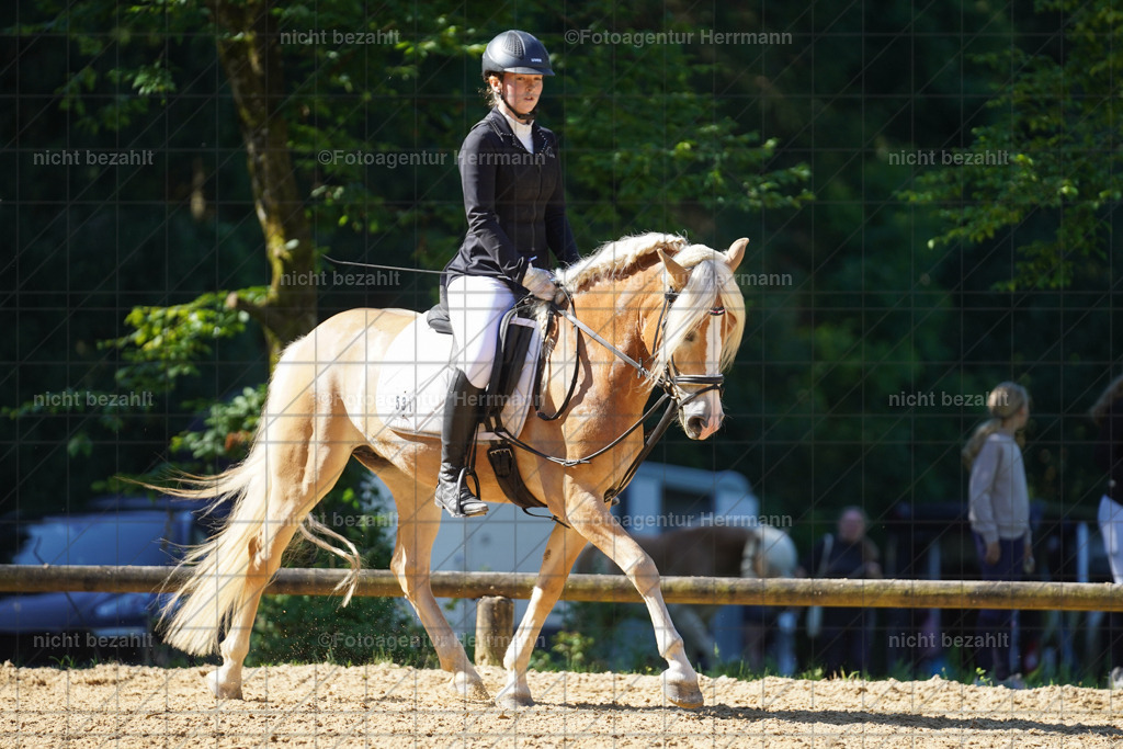 20240706-FAH04729 | Grafing Turnierfotos, Reitverein Ebersberg, Turnierfotografen Bayern, reitsportbilder, Pferdefotograf, reitsportfotograf, Sportbilder, Reitsportfotografie, Fotoagentur Herrmann, Turnierfotograf