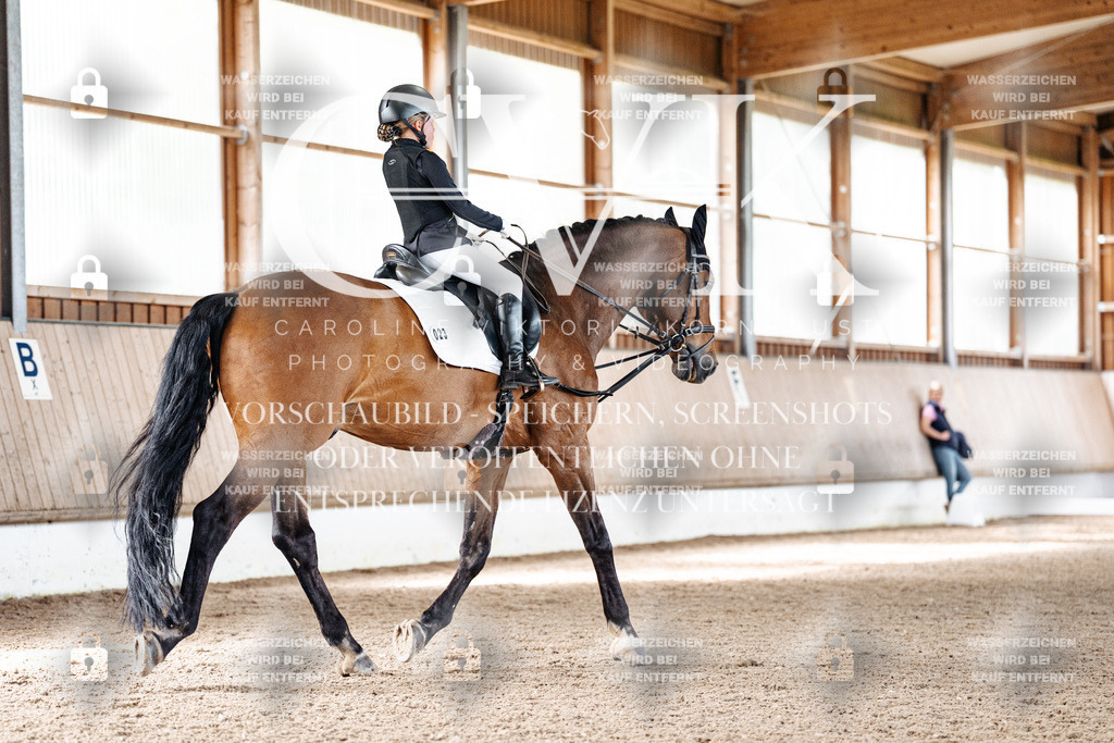 CK909880 | Turnierfotografie Pferdefotografie Trier Rheinland-Pfalz Pferdesport Reitsport Tierfotografie Sportfotografie Pferdevideo Pferdevideografie Equestrianvideography equestrianphotography  - Realized with Pictrs.com